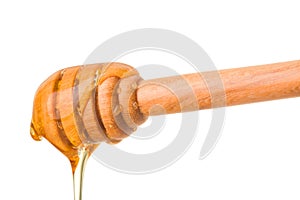 Honey dripping from wooden dipper stick.