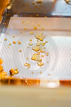 Honey Drips in a Beehive Decapping Tray Close Up