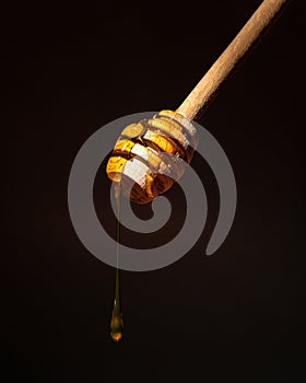 Honey drips from a wooden spoon. On a dark background