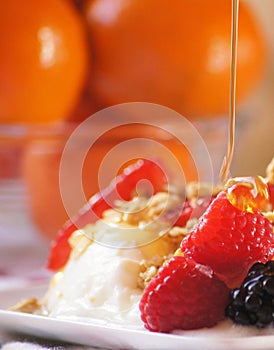 Honey Drizzle on Fruit and Yogurt