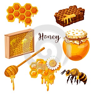 Honey drops and flow, honeycomb, bee and spoon