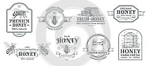 Honey farm badge. Beekeeping logo, retro bee badges and vintage hand drawn mead label vector illustration set photo