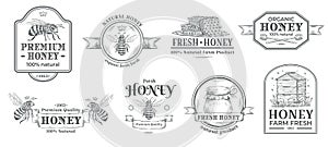 Honey farm badge. Beekeeping logo, retro bee badges and vintage hand drawn mead label vector illustration set