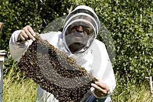 Honey Farmer