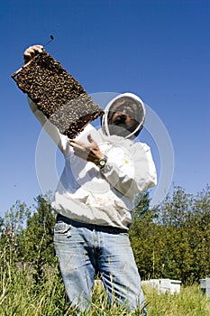 Honey Farmer