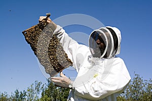 Honey Farmer