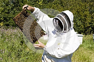 Honey Farmer