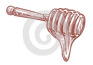 Honey flowing down from wooden dipper. Sticky syrup wood spoon. Bee product sketch vector illustration