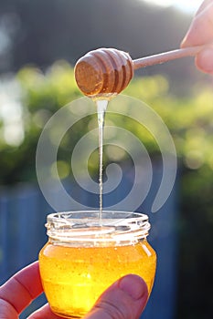 Honey flows from a special spoon for honey in a jar