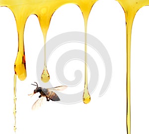 Honey in glass jar with bee flying and flowers on a wooden floor.