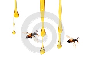 Honey in glass jar with bee flying and flowers on a wooden floor.