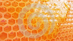 Honey on honeycomb