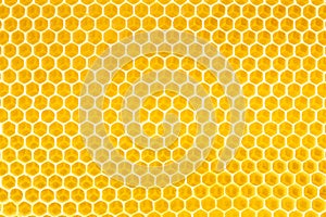 Honey in honeycomb background