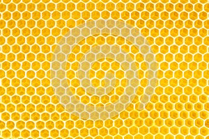 Honey in honeycomb background photo