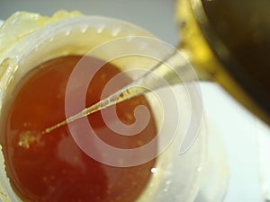 honey in jar