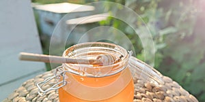 Honey in the jar on the apiary. Hives in the apiary. Spoon for honey.