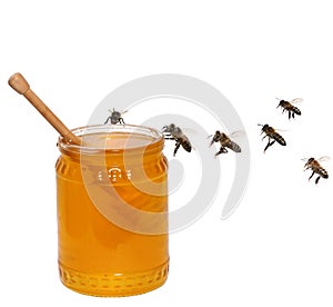 Honey jar and bees