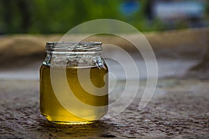 Honey in jar and window with green on backcground
