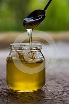 Honey in jar and window with green on backcground