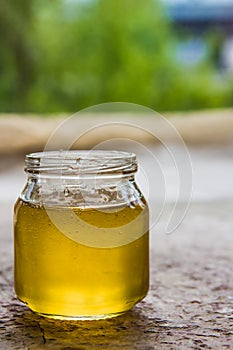 Honey in jar and window with green on backcground