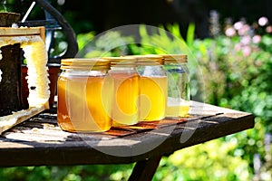 Honey Jars in the sun