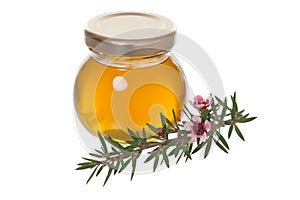 Honey with manuka (Leptospermum) flower