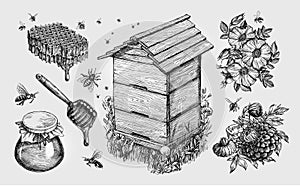 Honey, mead. Beekeeping, apiculture, bees sketch vector illustration photo