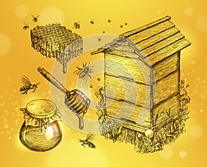 Honey, mead, beekeeping. Hand drawn apiculture sketch vector illustration photo