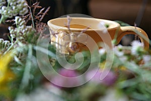 Honey Naturopathy Tea Benefits and Wild Flowers, Bee and Hive Mug.