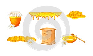 Honey omb with Hexagonal Wax Cells and Glass Jar Poured with Honey Vector Set