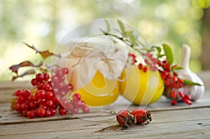 Honey and others natural medicine for winter flue