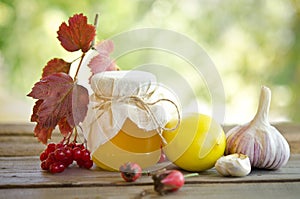 Honey and others natural medicine for winter flue photo