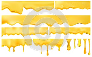 Honey pouring isolated on white background. Dripping honey. Golden yellow realistic syrup. Honey splash dripping sweet