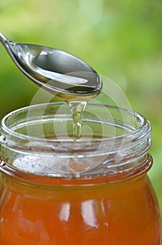 Honey pouring into the jags