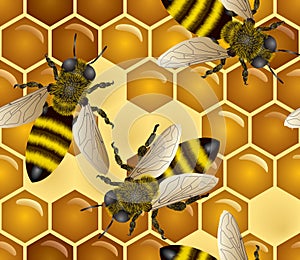 Miele senza soluzione di continuità api 