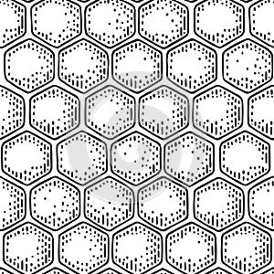 Honey Seamless Pattern with honeycomb. Vector engraving