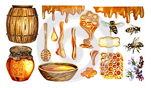 Honey set with barrel, bees, honeycombs, buckwheat flowers. Horizontal. Isolate on a white background. watercolor.