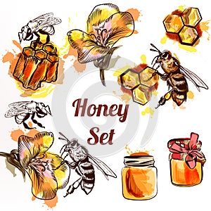 Honey set or collection elements bees comb and honey in waterco