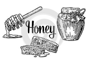 Honey set. Jars beer and honeycomb. Hand drawn design element. Vector engraved illustration.