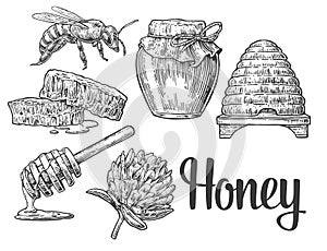 Honey set. Jars of honey, bee, hive, clover, honeycomb. Vector vintage engraved illustration.