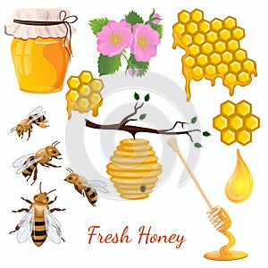 Honey set. Set of bee icons. Vector graphics isolate on white background