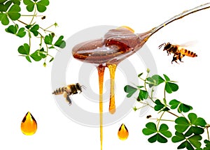 Honey stick and bowl of pouring honey isolated on white background with clipping path.