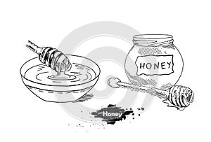 Honey stick. Hand drawn vintage illustration of sketches.