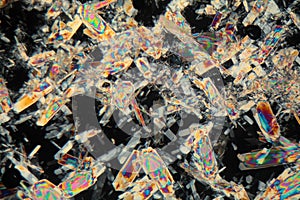 Honey under the microscope