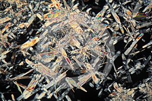 Honey under the microscope