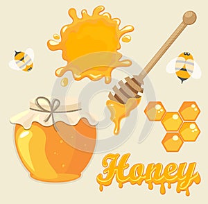 Honey, vector illustration.