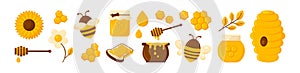 Honey vector set, bee and jar, flowers, honeycomb and pot icons. Cartoon gold illustration