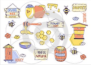 Honey vector set. Hand-drawing elements of the apiary. A set of doodles of apiary elements. Template for labels and signage