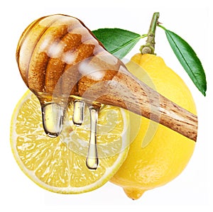 Honey with wood stick pouring onto a slice of lemon.