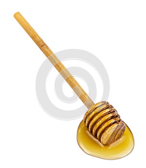 Honey and wooden dipper isolated